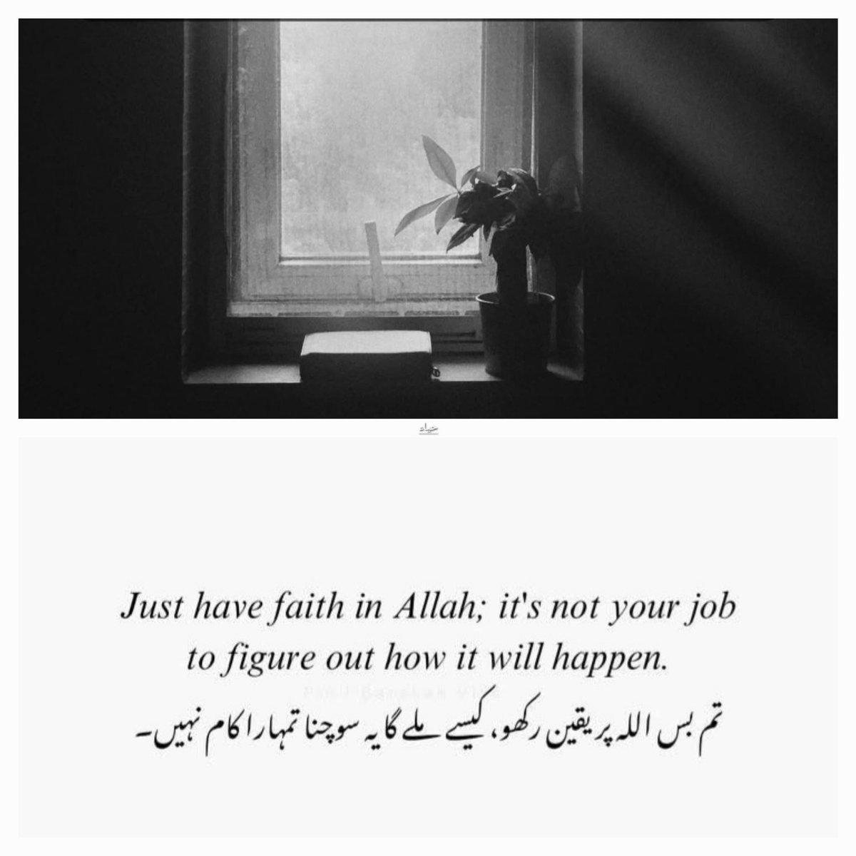 🇵🇸دُعَاء (@duareminder25) on Twitter photo 