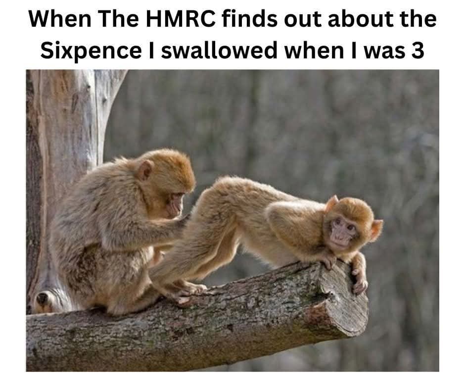 JasonFarghaly's tweet image. 