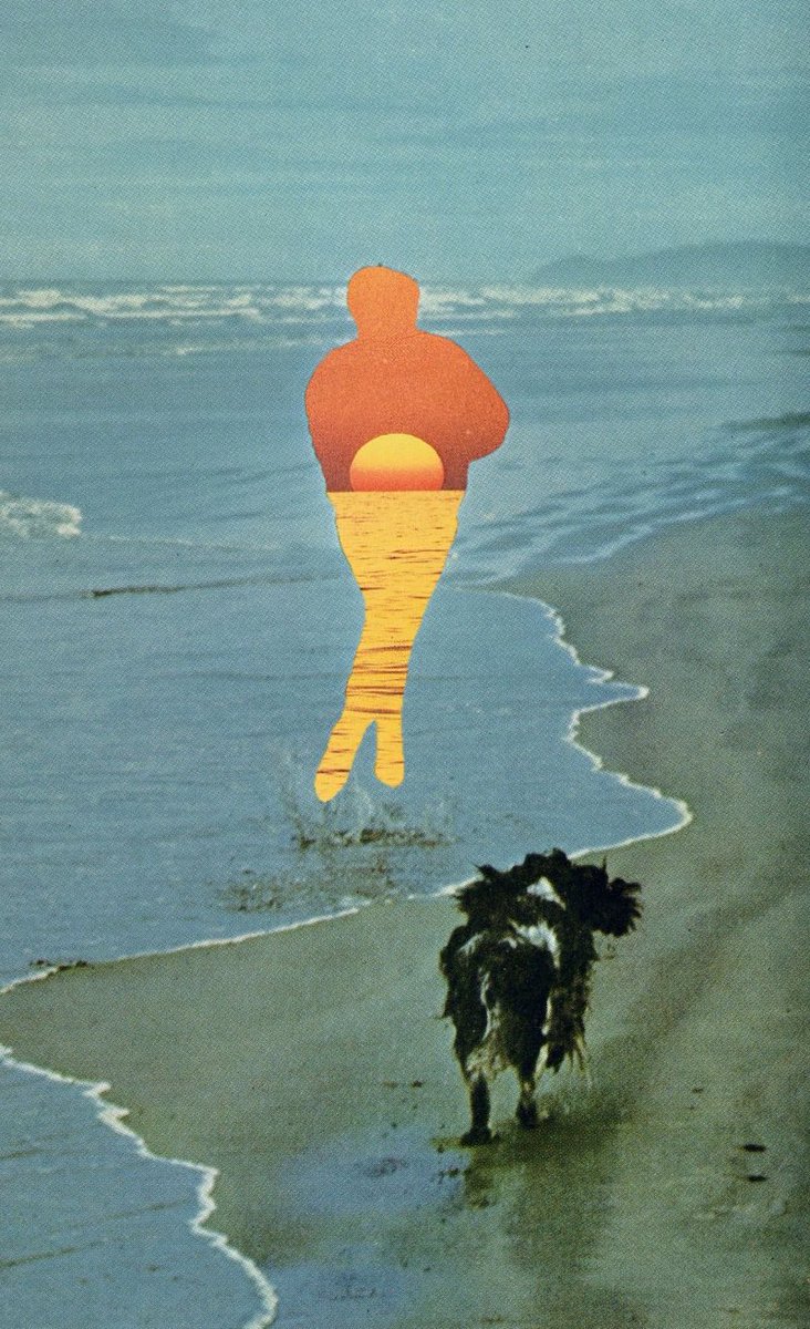 Chase it down 

One last collage on primary 
85 1/1s collected in 2025 who’s picking up the last one? 

.1 ETH reserve