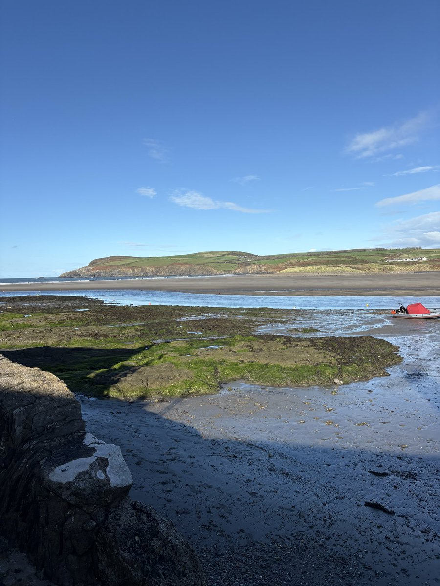 CarolPoyerPeett's tweet photo. Pembrokeshire didn’t let me down. Showing clients a gorgeous house today and the sun shone despite the forecast #homesearch #propertyfinder #buyingagent #moving #Wales #pembrokeshire #carmarthenshire #ceredigion https://t.co/rR3fSaFREY