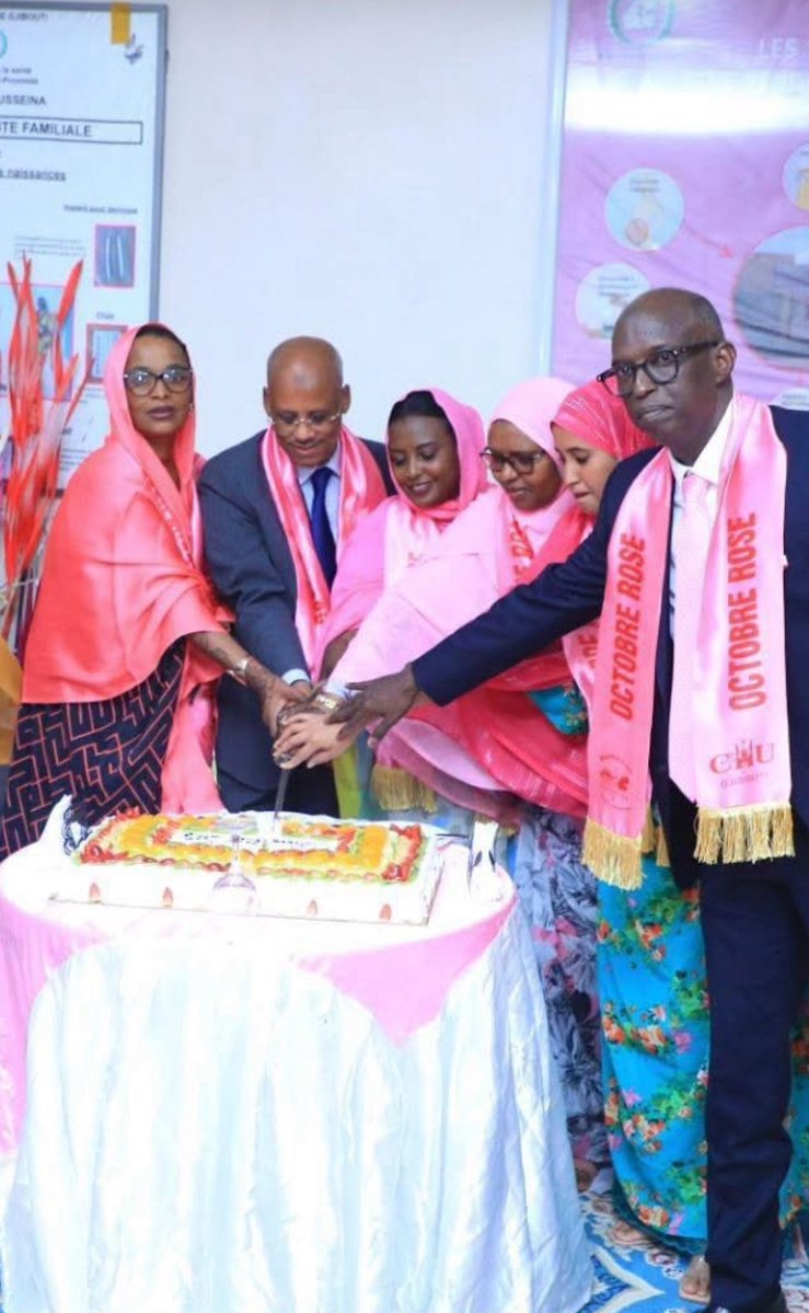J’ai été sidérée de voir notre ministre de la santé, habillé comme un chanteur congolais, entouré de femmes de la représentation qui n’ont rien compris à la cause qu’elles étaient sensées défendre, à savoir célébrer "octobre rose" avec un gâteau et des écharpes. 

Les femmes