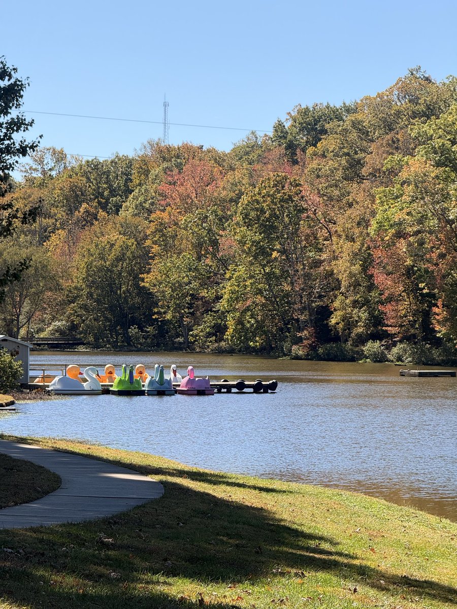 Looking nice around Greensboro. 

I’d expect some high levels of color by this weekend.