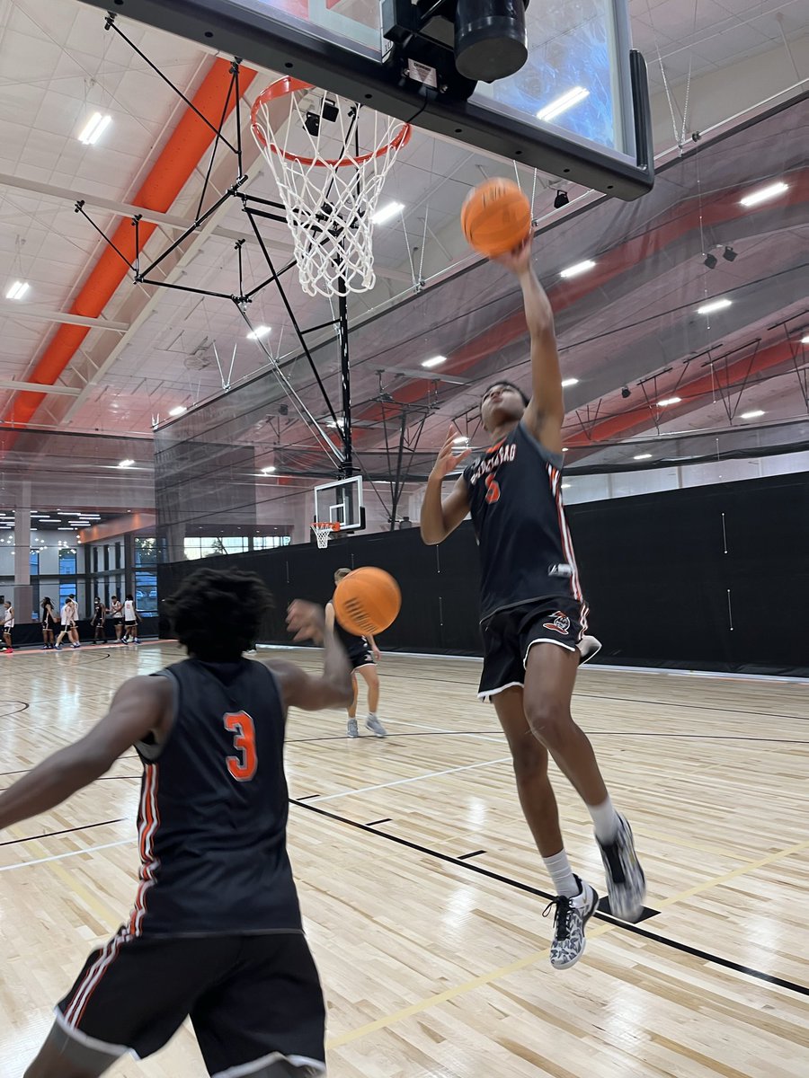 Heidelberg Basketball tweet media