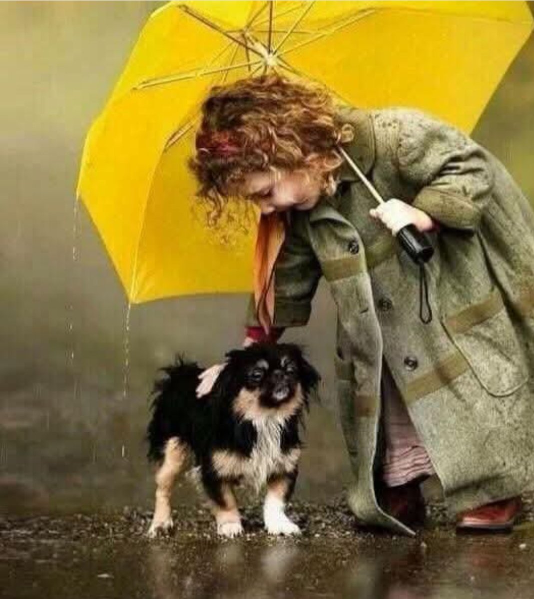 Sana____Sweet's tweet image. دن برے ہو سکتے ہیں زندگی نہیں __!