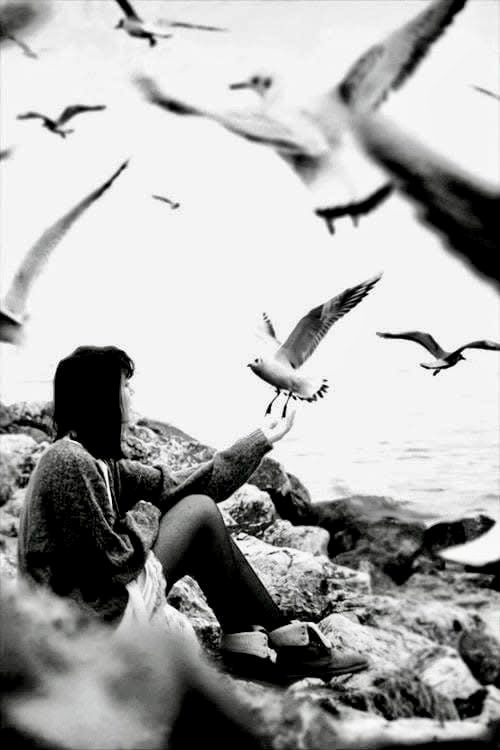 "No permitas que una persona te enseñe dos veces que no te quiere."🌷

--Joja Barrera