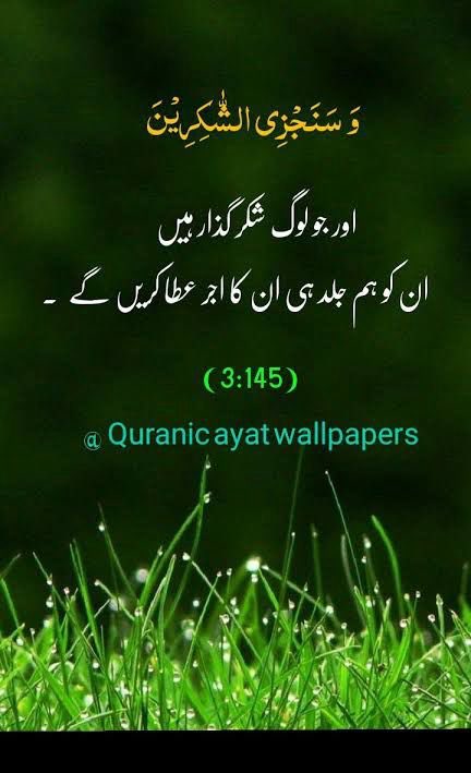 Ishaq Dar (@mishaqdar50) on Twitter photo 