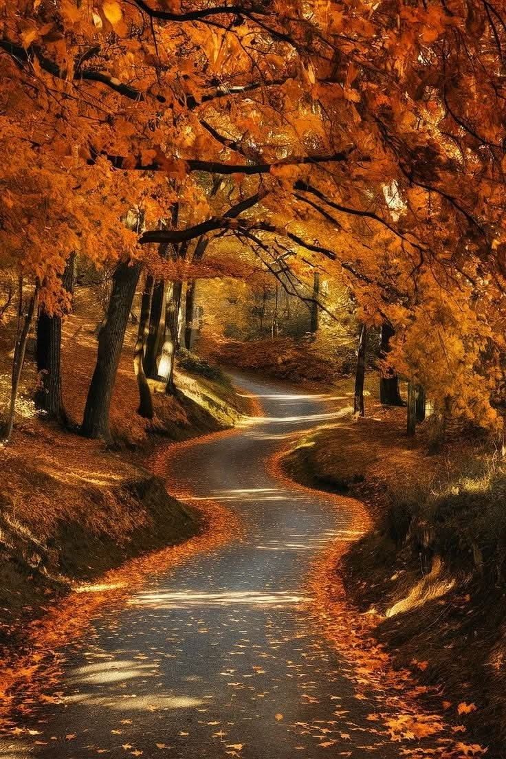 ProgressMusik's tweet image. Mümin, Allah’ın sevgisini kaybetmekten korkar.  Sonsuz büyük güç ve akıl olan Allah sana değer vermiyor, seni sevmiyorsa  bundan daha dehşet verici bir şey olamaz. Allah’ın sevgisini  kaybettiysen nerede olursan ol, mahvoldun demektir ...