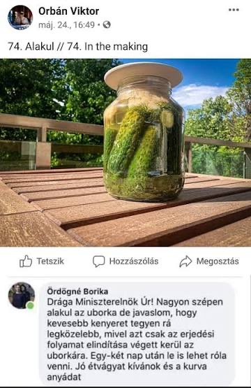 AndanViktor tweet media