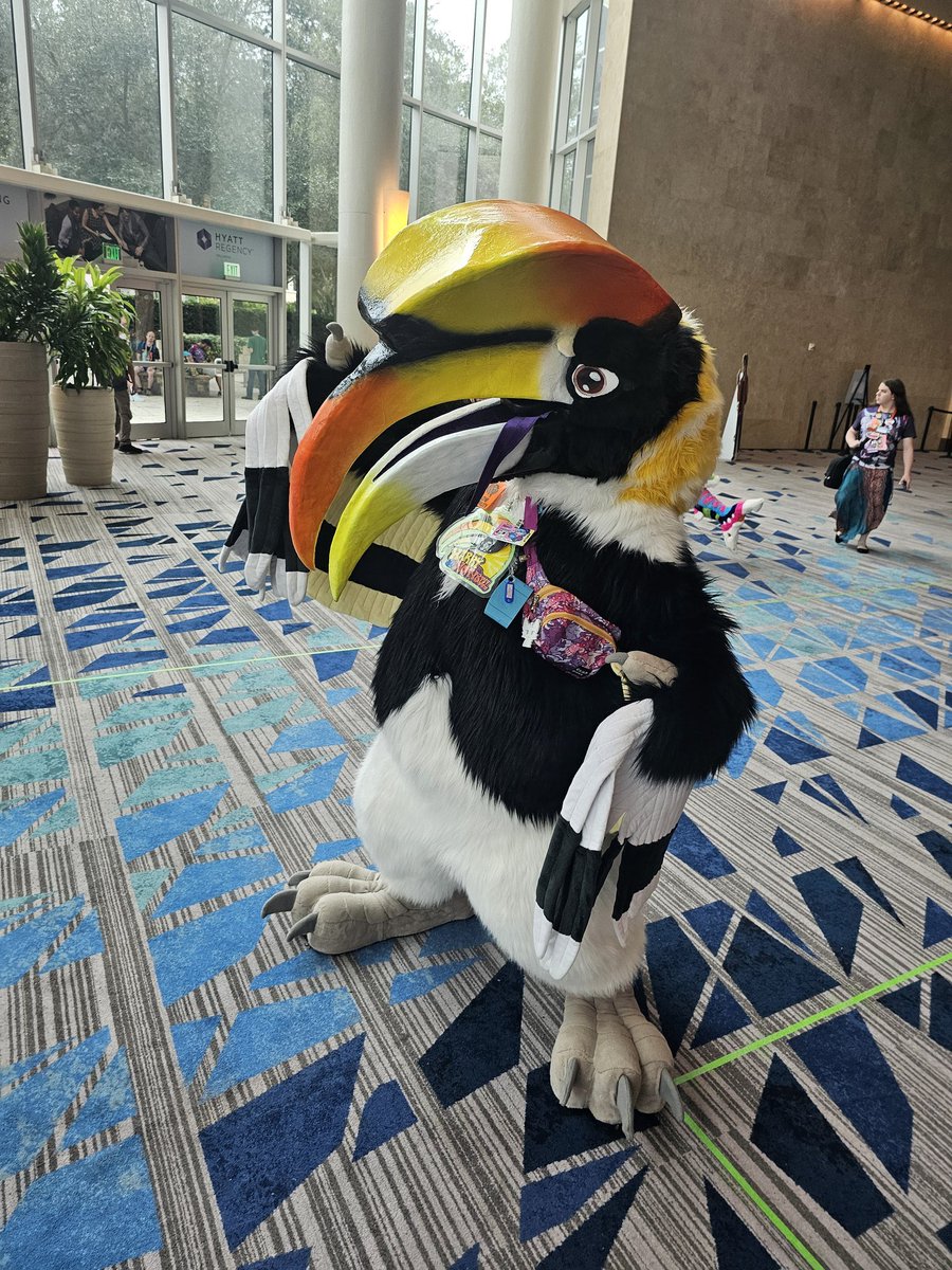 Harry The Hornbill tweet media