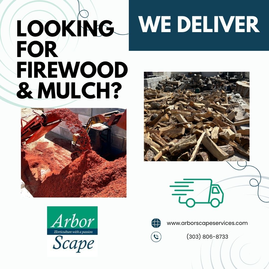 At ArborScape, we do our best to Reduce, Reuse, &amp; Recycle ♻️ Instead of dumping wood from job sites, we bring it back to our shop and chip it into mulch or 🪓 chop it into firewood. 

#reducereuserecycle #sustainability #mulch #firewood #denvertreeservices #arborscape