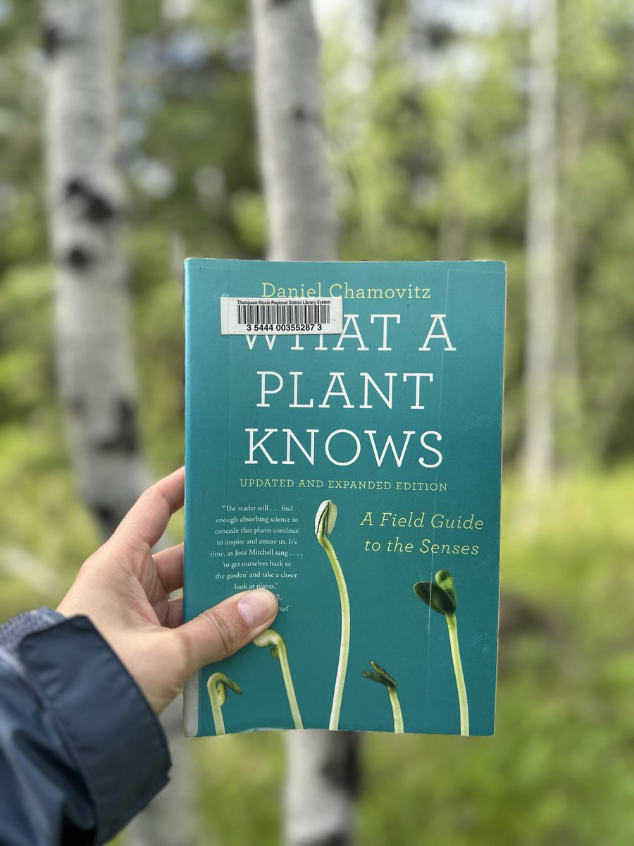 Lili Cruz tweet media