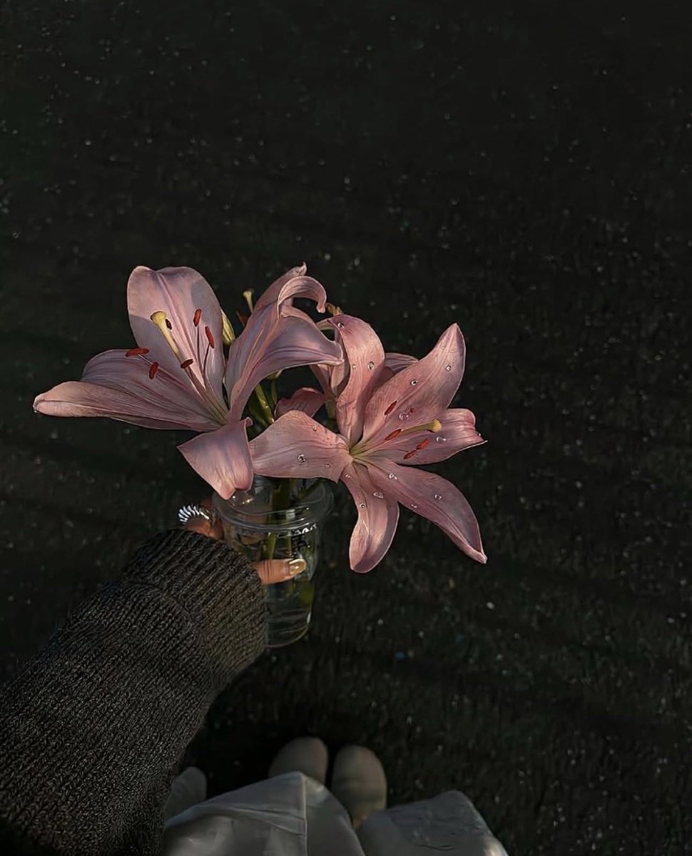 ❀ (@i3moment) on Twitter photo 