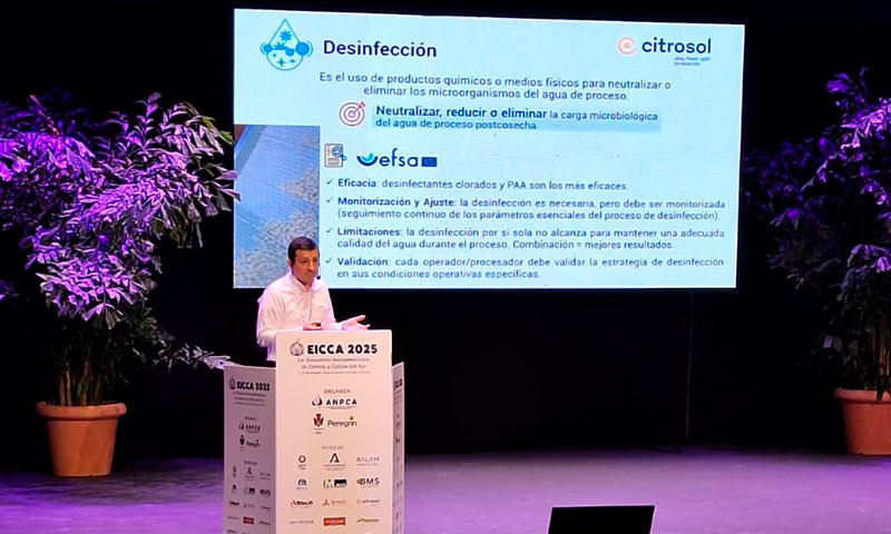 elAgroAutentico's tweet photo. 🆙Citrosol presenta Citrocide® Fresh-Cut para alargar la vida comercial del ajo procesado en el #EICCA🧄
https://t.co/nJl6inELtA
@citrosol_com
#poscosecha @postcosecha #agroalimentacion https://t.co/jjXbd65RPG
