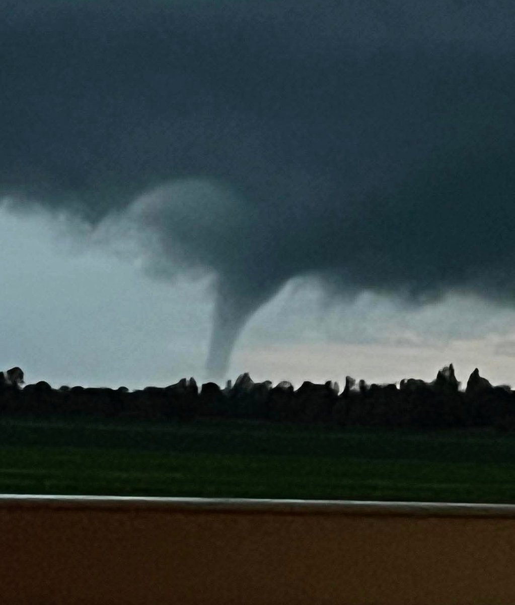 Wouter van Bernebeek tweet media