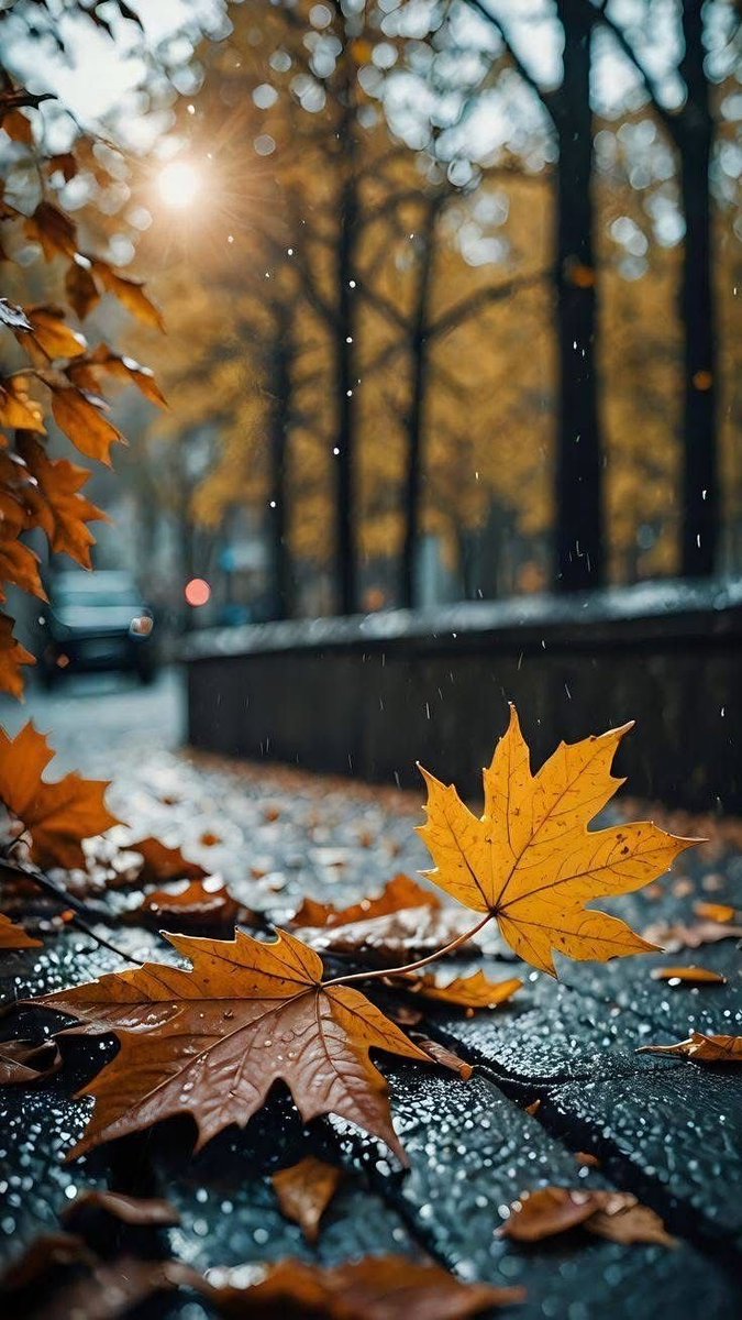 Doğalı olduğu gibi kabul et.
Güzellik çoğu kez en yalın halinde gizlidir...