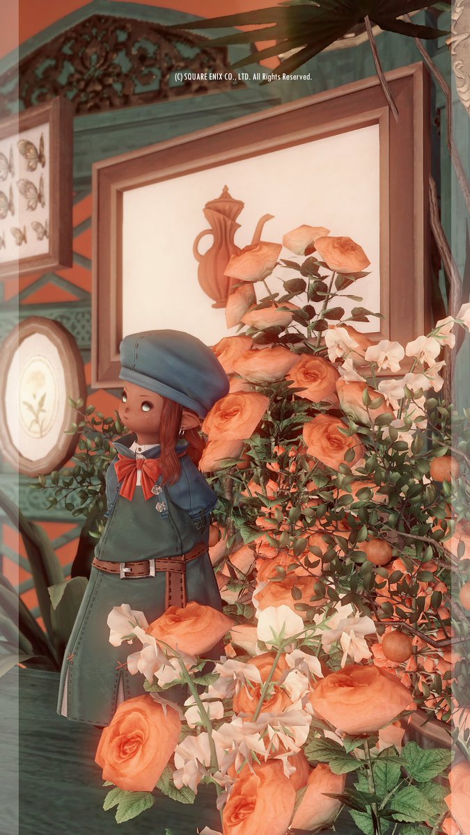 ぽむぽむ・ぷりん🍮 (@pom_____san) / Posts / X