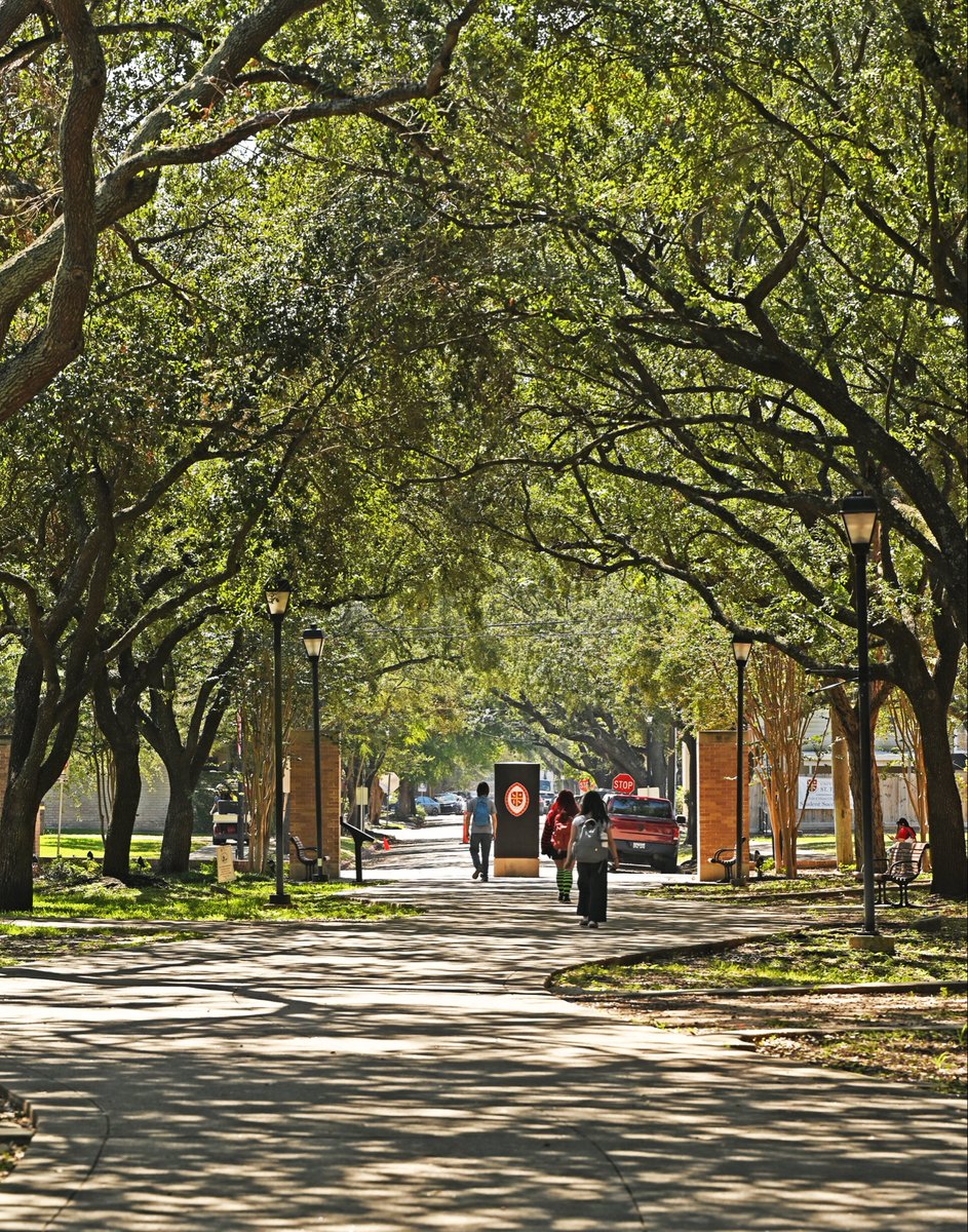 University of St. Thomas tweet media