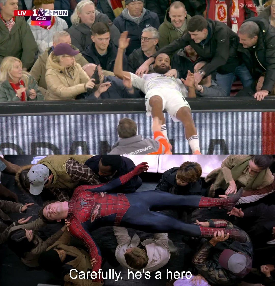 ToTo 𝕏 tweet media