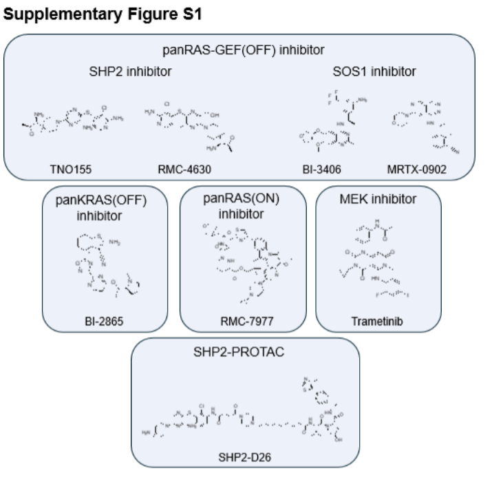 Molecular Cancer Research tweet media