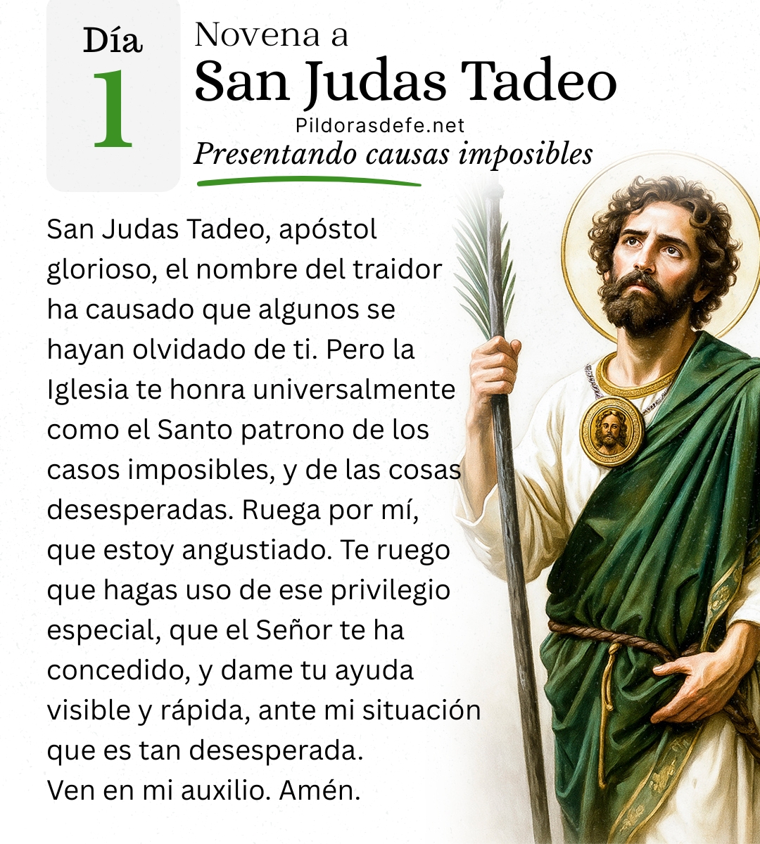 Pildorasdefe tweet media