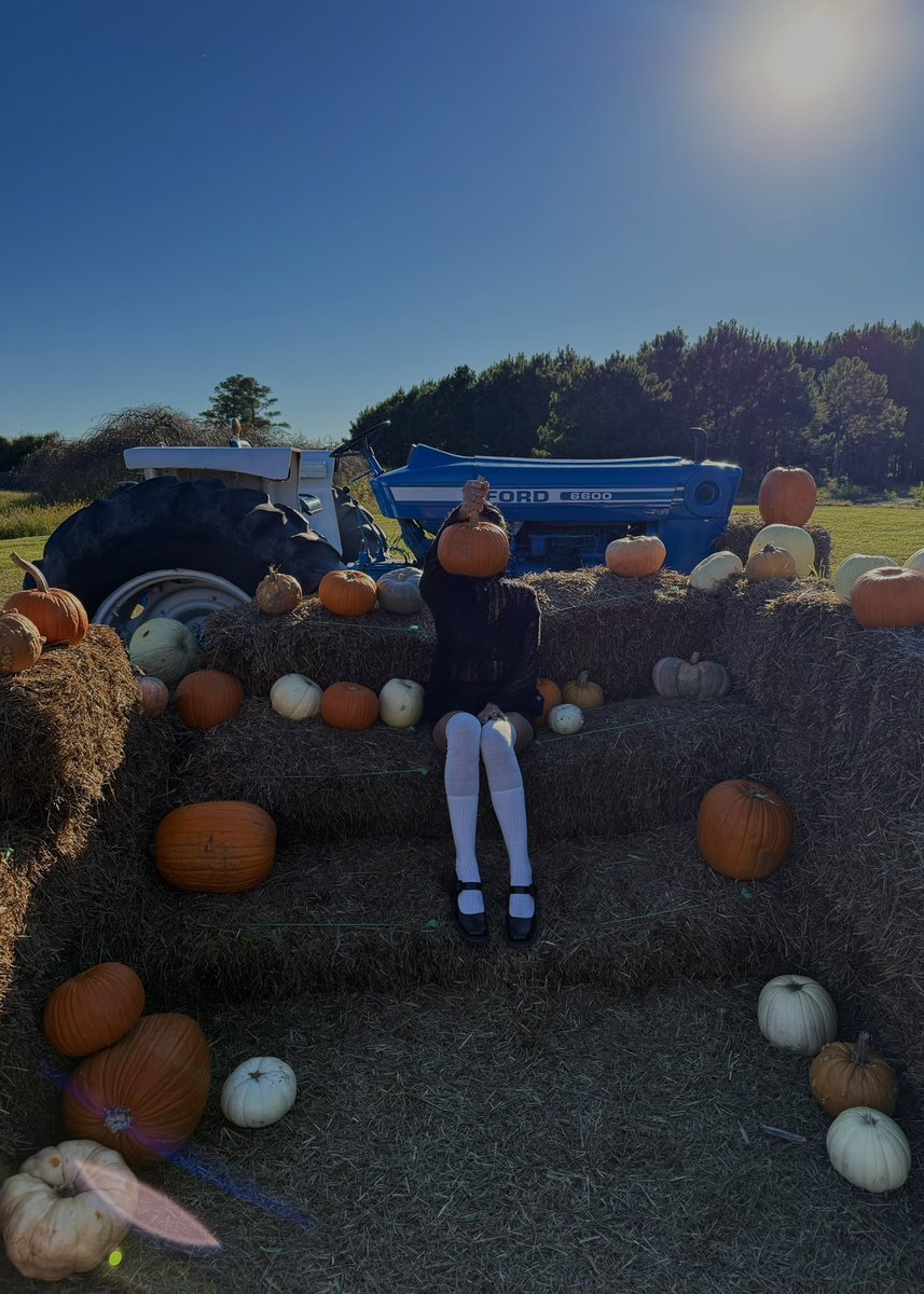 adrianna 💫 tweet media