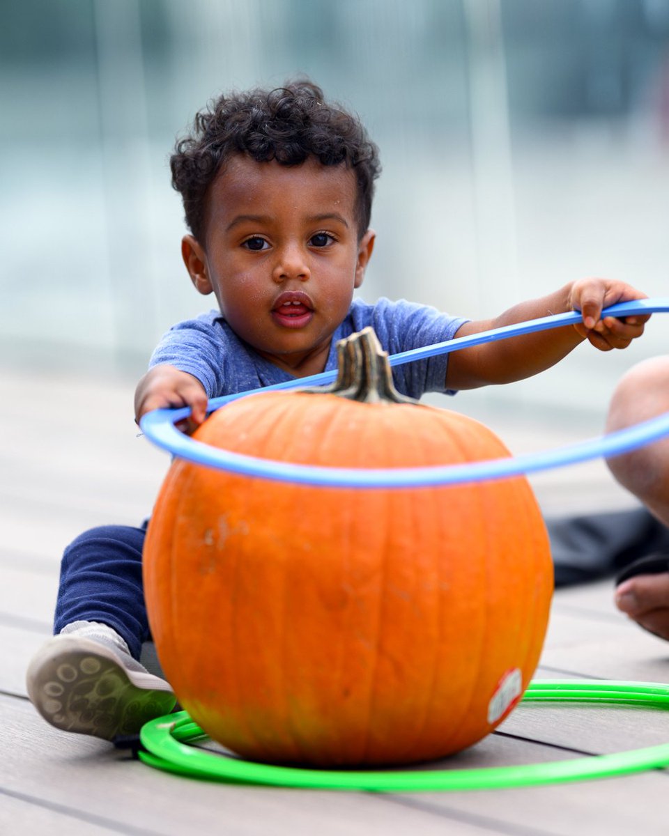 City of West Hollywood tweet media