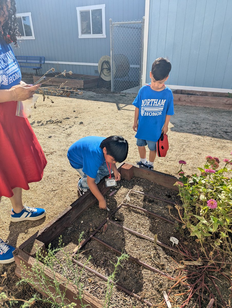vsalasmath's tweet photo. What grows from a seed? @NorthamPride Kindergarteners planting seeds from the pumpkins. 🎃 @RowlandSchools https://t.co/H7bjfnMyaU