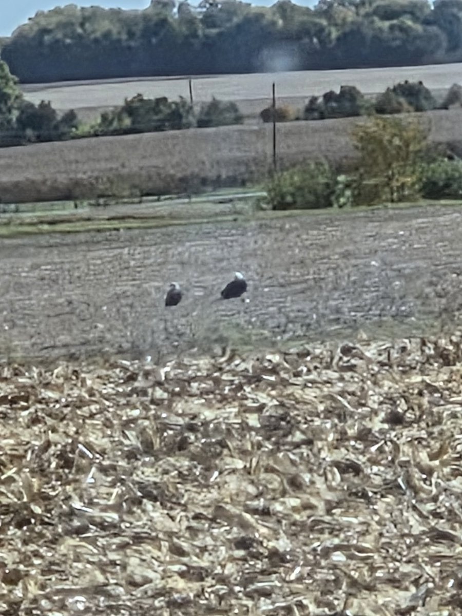 Feel like we are being watched today