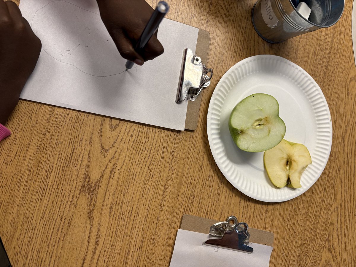 Mrs. Giuliano😀 tweet media