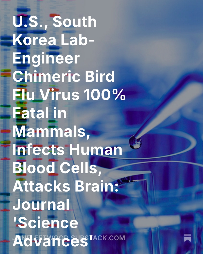 JonMFleetwood's tweet image. Study confirms lab-made hybrid H5N1 strain invades immune cells, replicates in human blood, spreads to the brain, and kills every mammal tested.

A September &apos;Science Advances&apos; paper confirms that U.S. and South Korean researchers have engineered a “Frankenstein” chimeric bird…