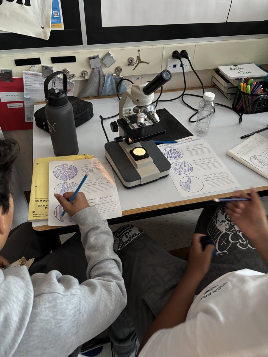 Mr. Parolin tweet media