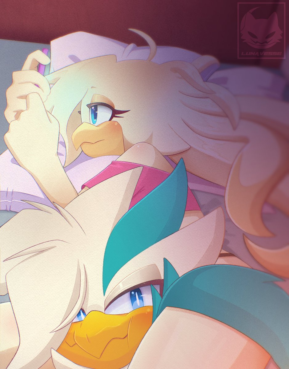 Lunavesse's tweet image. I had to do it I had to join lol look at these cuties!

Clash belongs to @jettozahoku 
#sonicoc #sonicocs