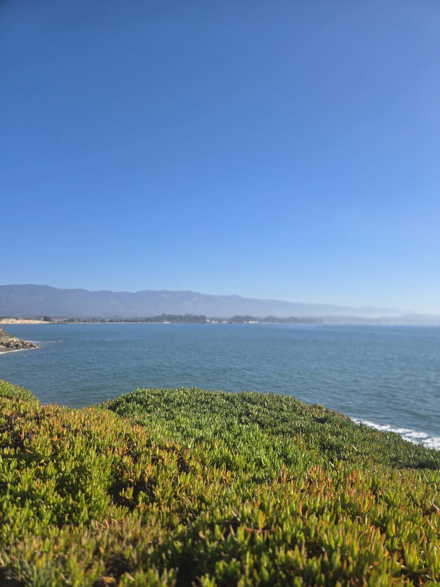 santarico8's tweet image. Its #noteasy
Its #challenging
Sometimes  #brutal
But i #push myself to my #limits where I cant go any further.
Not just working outs but in #life
In everything be the best version of yourself.
It starts in the #mind.
Take back #control.
#runner
#health
#wealth
#vitaminD