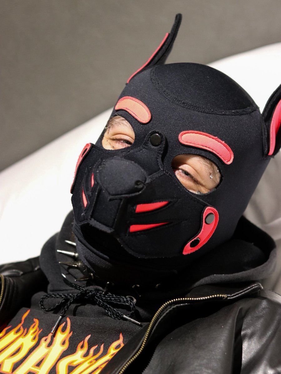 🖤 Pup Scruffy 💖 tweet media