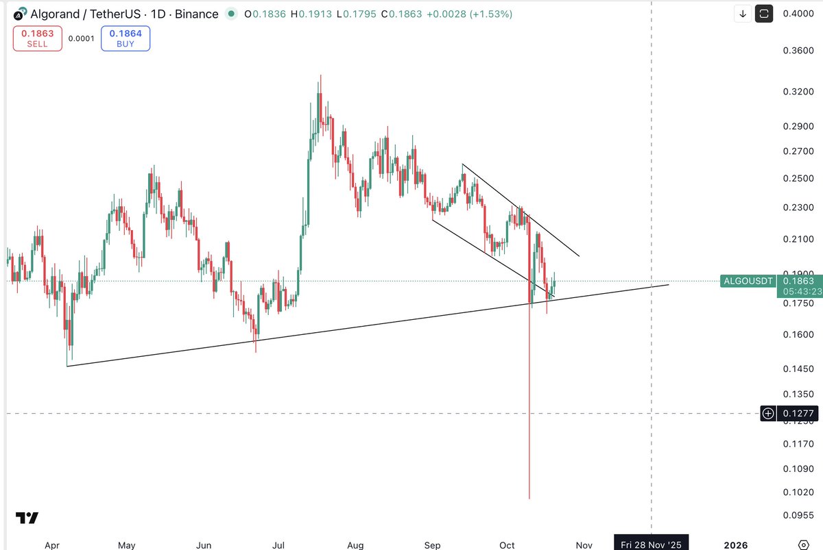 Thecryptomist's tweet image. $ALGO 
Bought some #ALGO here 
First target remains 30 cents from here. 
Trendline bounce within falling wedge. 
I am bullish 🚀