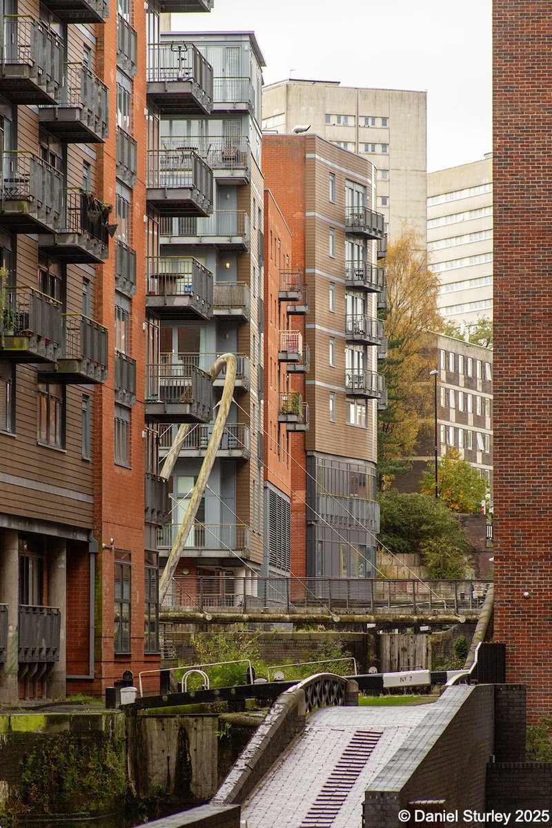 Daniel Sturley Photography tweet media