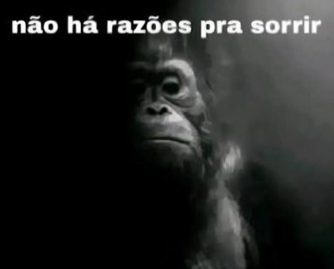 O Lotus | Editor tweet media