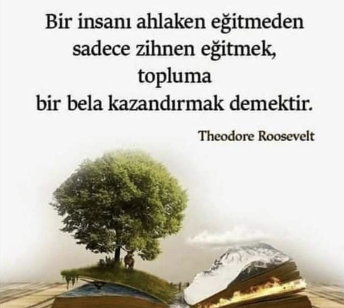 KavakOrhan's tweet photo. https://t.co/MMud6fgEMz