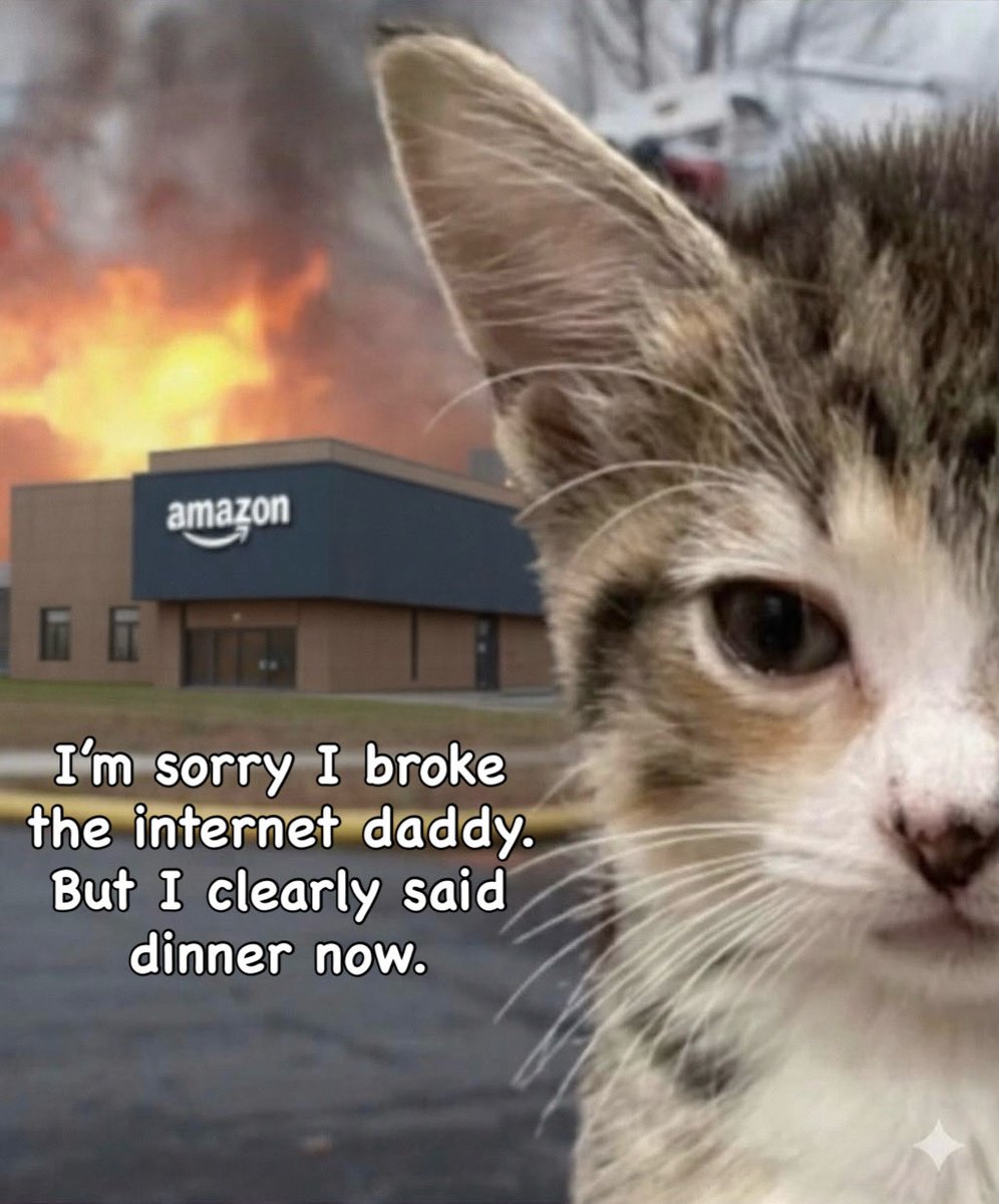 CoolCatStuff's tweet image. Oh Snoo, not the internet! 
Sorry @amazon, she didn’t mean it.
Ok…she definitely meant it but I’m almost certain she won’t do it again.
