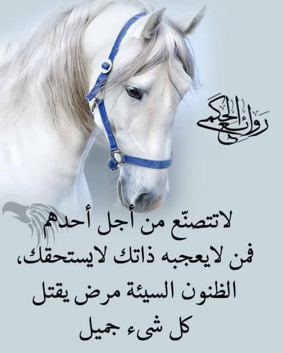 عبدالرحمن (@rkorashi) on Twitter photo 