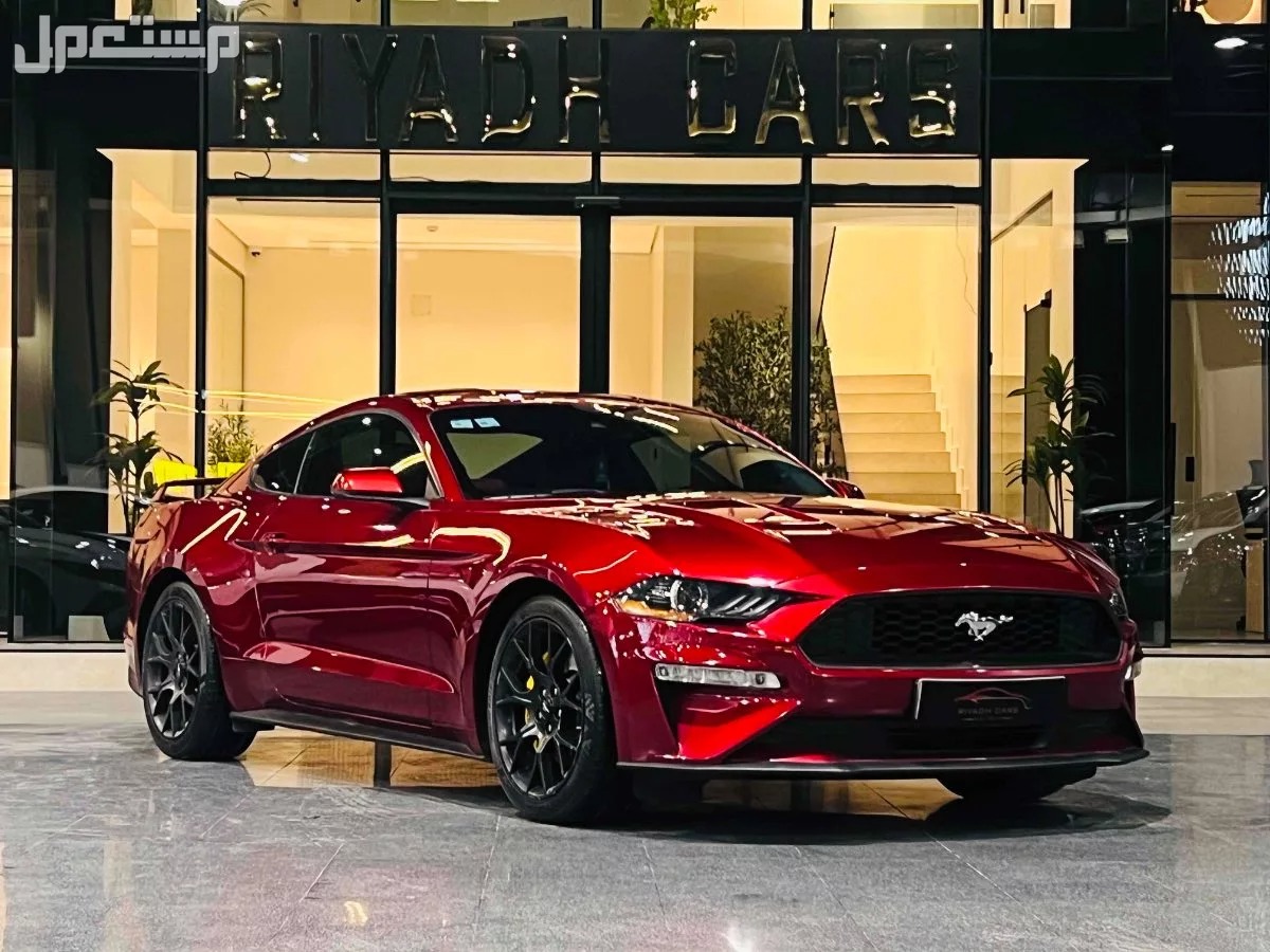 mstaml_com's tweet image. فورد موستنج Ford Mustang 2019 مستعملة للبيع في الرياض بسعر 88 ألف ريال سعودي
للتواصل مع المعلن 👇 :
mstaml.com/4587668
#مستعمل_السعودية #سيارات_للبيع #سيارات_السعودية #سيارات_مستعملة #فورد_موستنج #الرياض