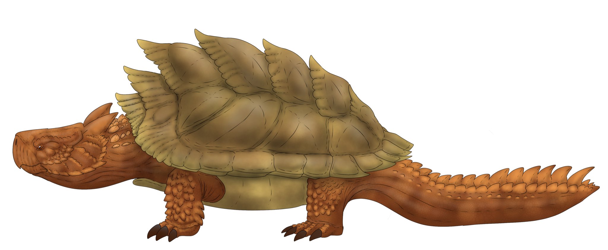 マジファベーゼのいたずら　レオバルト 魔法少女にあこがれて レオパルト根性叩き直しTシャツ｜アニメ