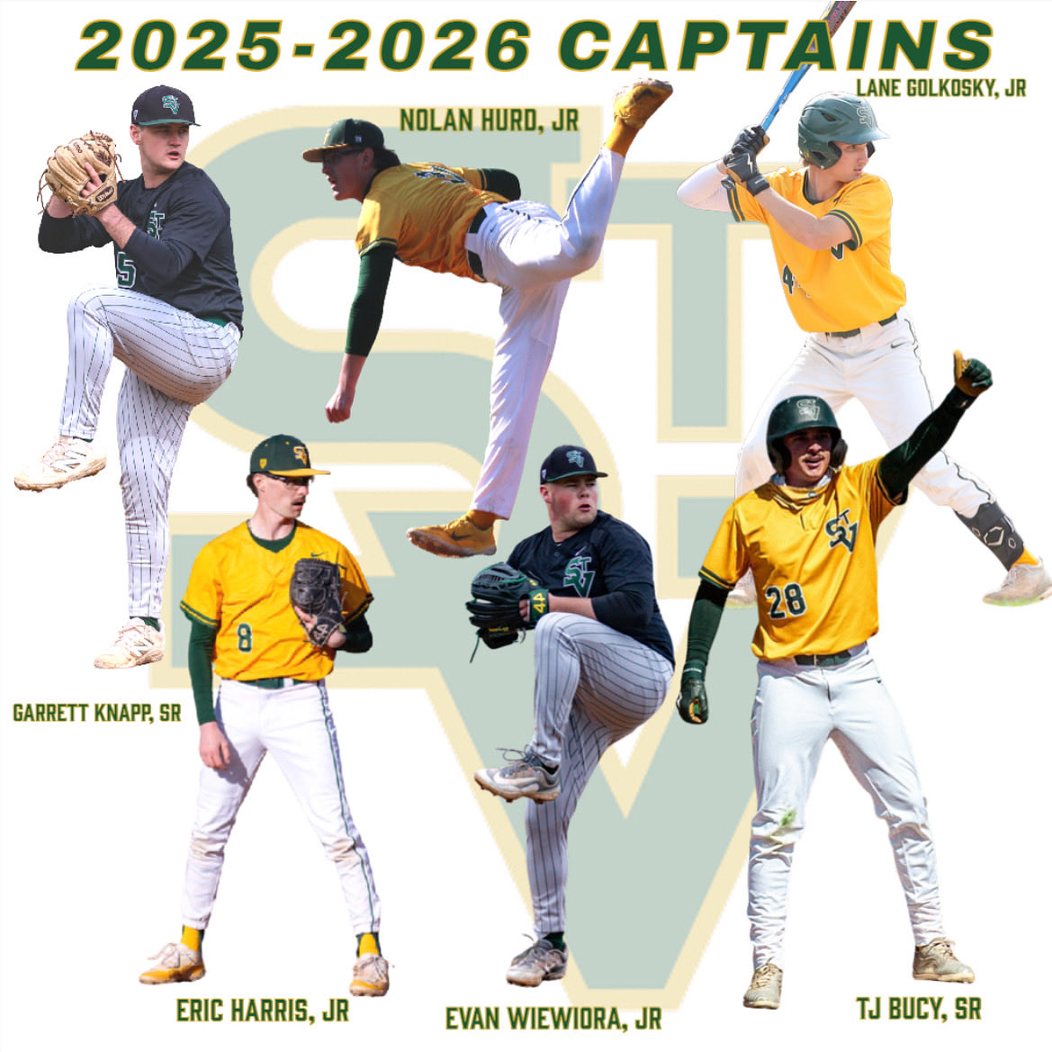 St. Vincent College Baseball tweet media