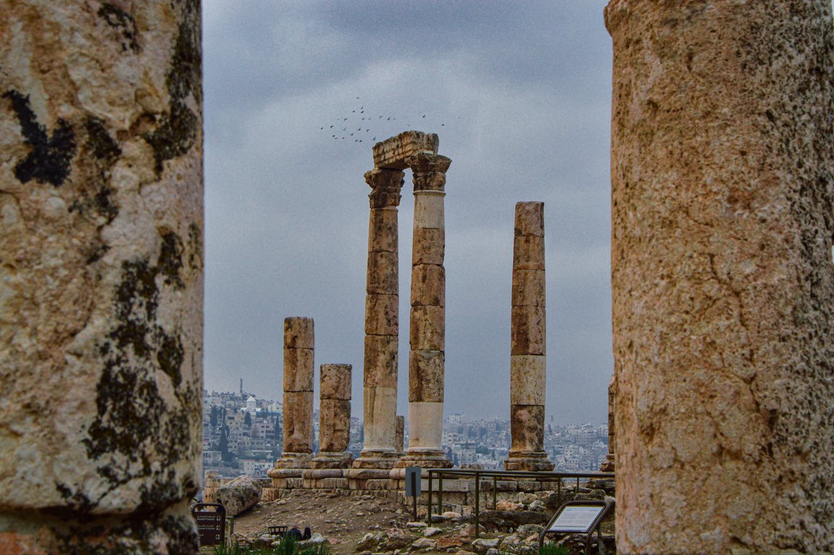 Abdulrahman tweet media