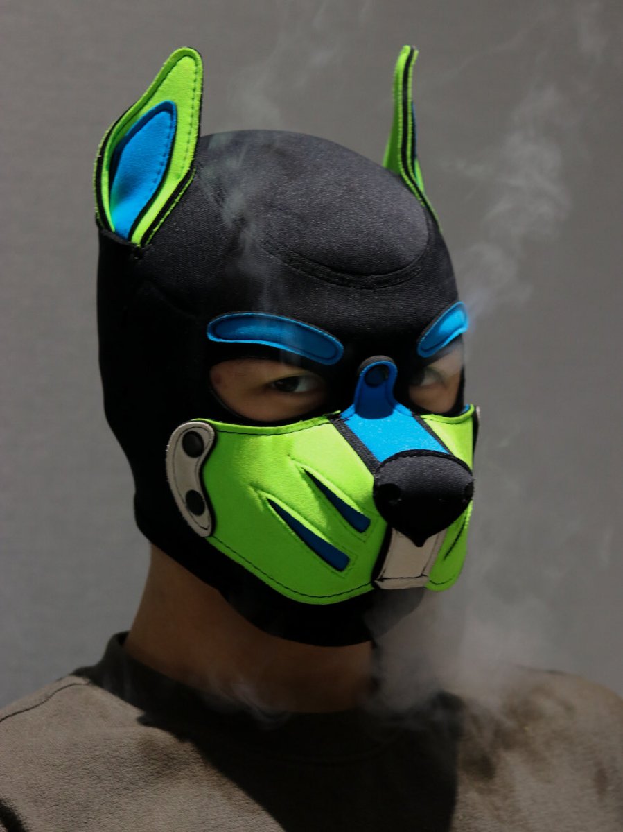 Is it just me or is it steamy in here 😶‍🌫️😮‍💨

IG 📸: dob1edog