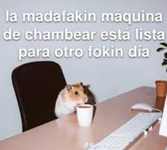 guillegamedev's tweet image. Hoy arranque el día con:
- correo fuera de seleccion en chamba A
- correo fuera de seleccion en chamba B
- 1 bug nuevo de mi juego
- Pense que ganaba un sorteo por creatividad, no paso xd 
-Baje la media stream

pero... aún queda grabar videos de la semana, a ver si van bien :D🔥