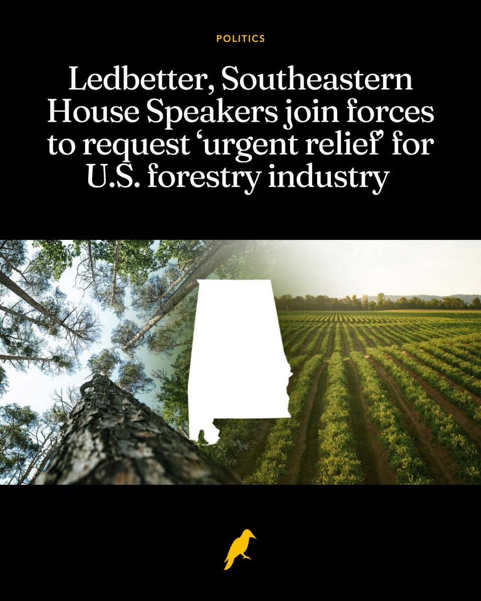 yhn's tweet image. Alabama Speaker of the House Nathaniel Ledbetter on Monday joined four other Southeastern House Speakers in a coordinated push for federal action to stabilize the U.S. forestry market.

In a letter shared Monday morning with Congressional delegations from five states, Ledbetter…