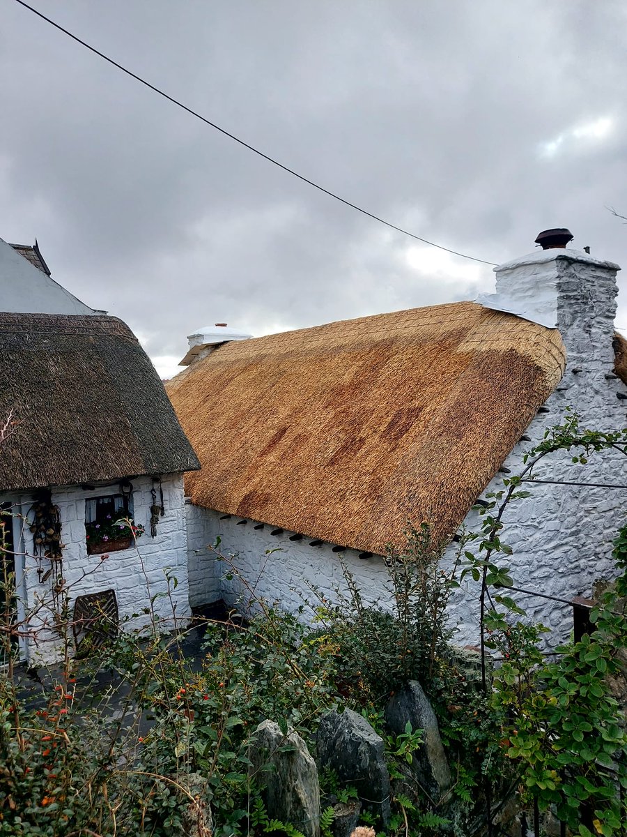 masterthatcher2's tweet image. A lovely little cottage on the #IsleOfMan that Jim, Rafal and Daniel re-thatched in the last week. #Thatching.