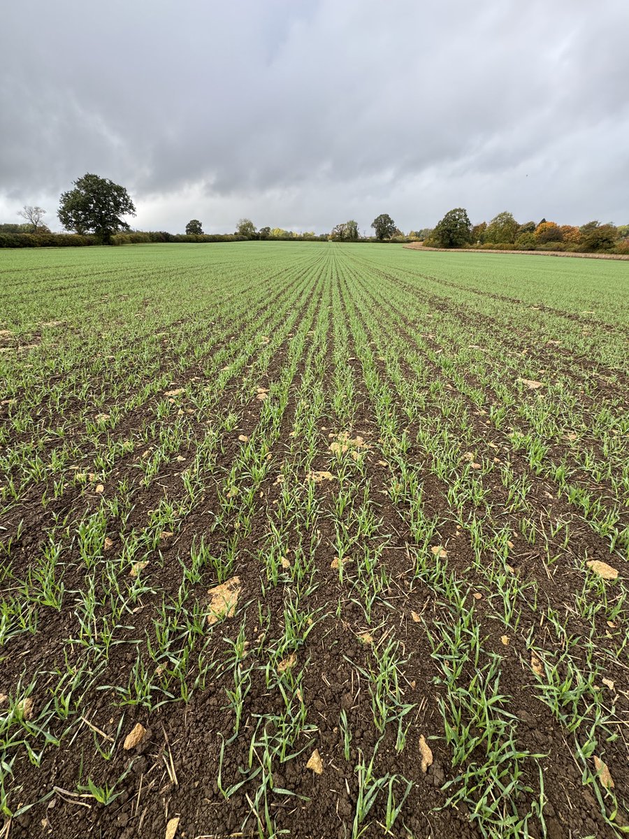 Ben Abell tweet media