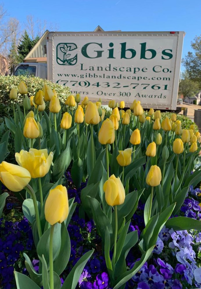 Gibbs Landscape Co. tweet media